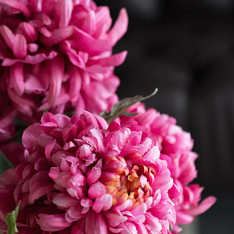 Allouise Chrysanthemum Faux Stem - Crimson - Image 8