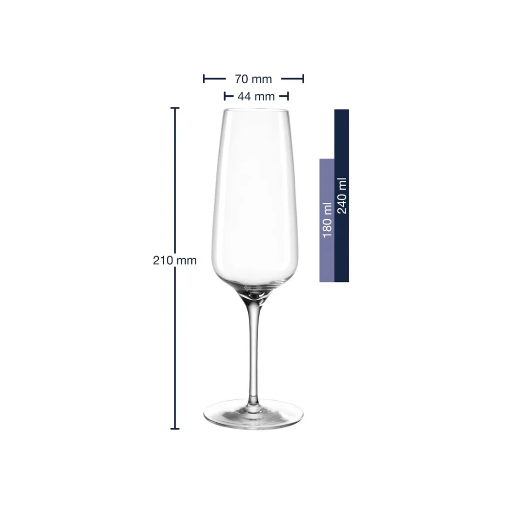 Cesti Champagne Glasses 240ml, Set of 6 - Image 6
