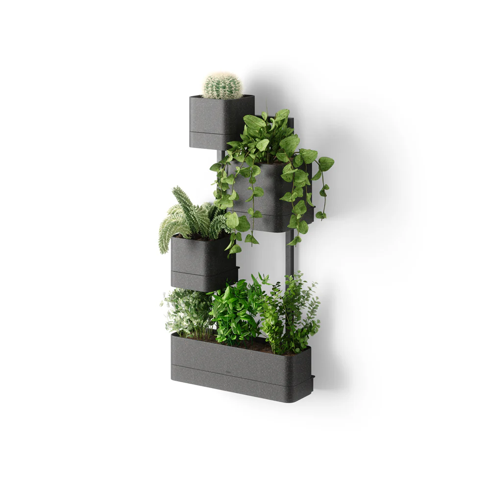 Cubiko Wall Planter - Black - Image 4