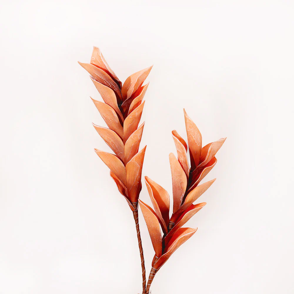 Dollar Leaves Faux Stem - Burnt Orange - Image 8