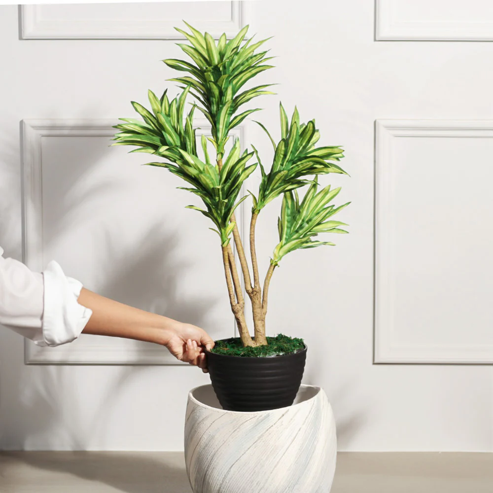 Dracaena Artificial Potted Plant - Medium - Image 2