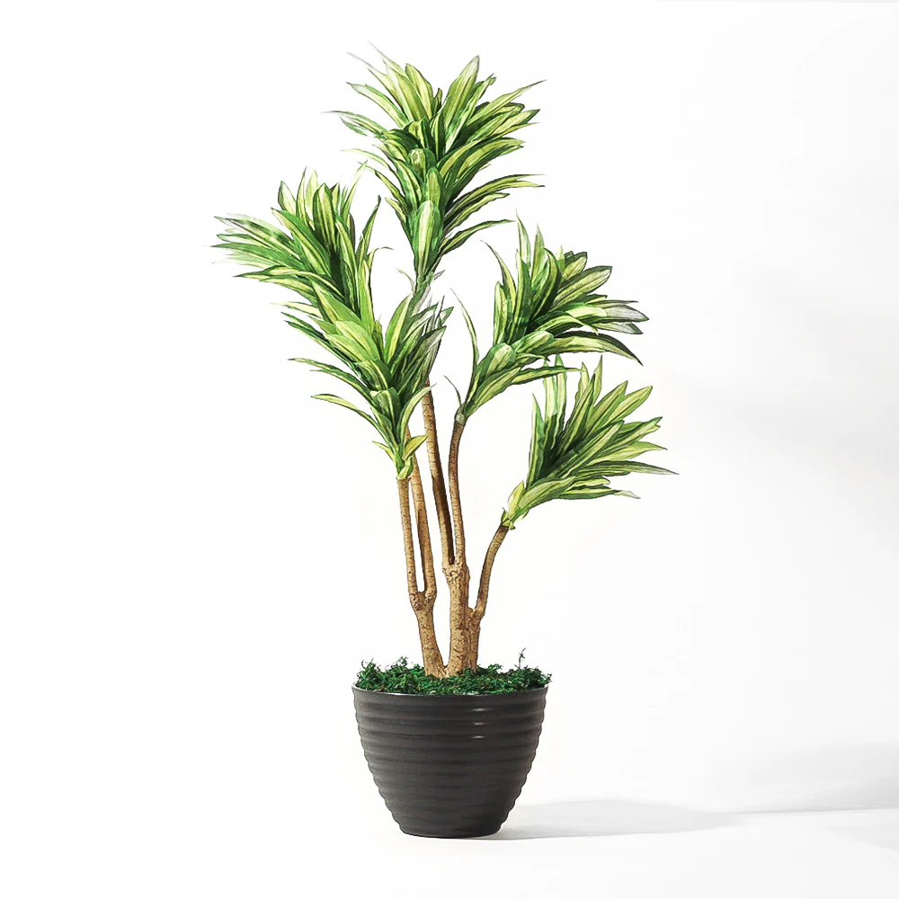 Dracaena Artificial Potted Plant - Medium - Image 3