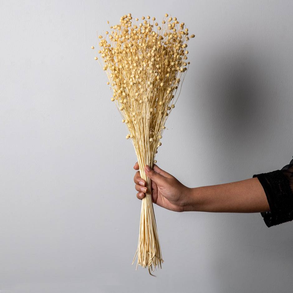 Flaxseed Grass Dried Bunch - Off White - Image 2
