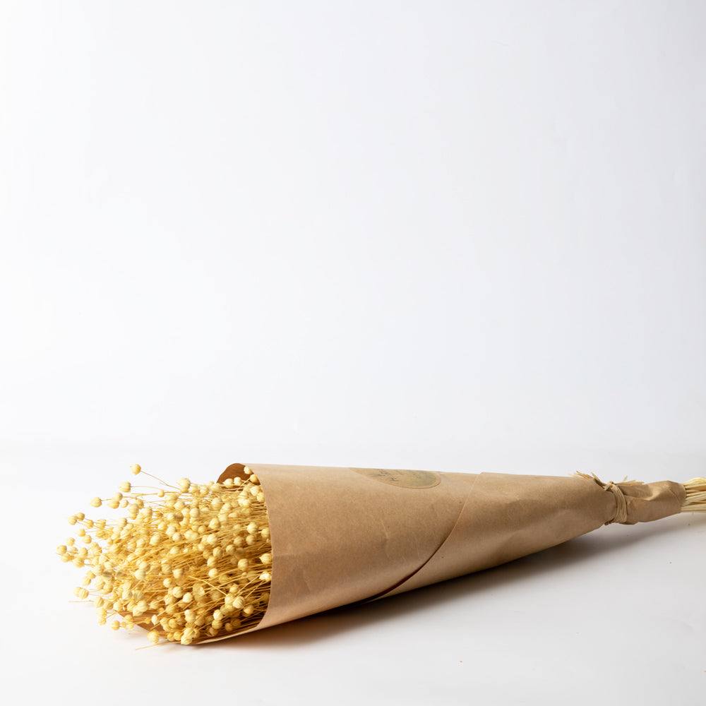 Flaxseed Grass Dried Bunch - Off White - Image 3