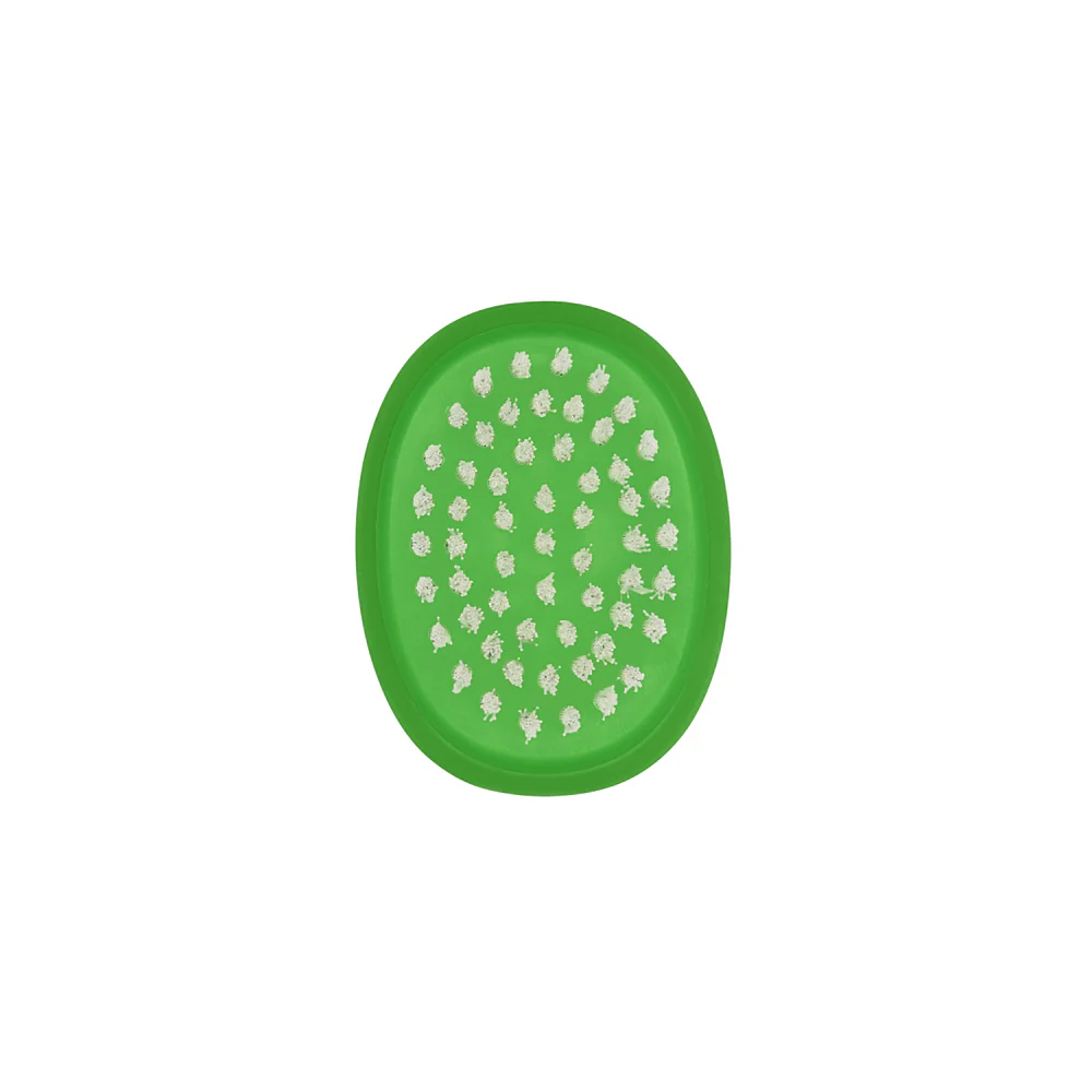 Good Grips Vegetable Brush - Green - Image 6