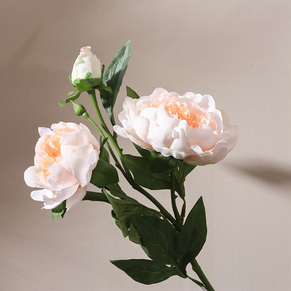 Itoh Peony Faux Stem - Peach Ivory
