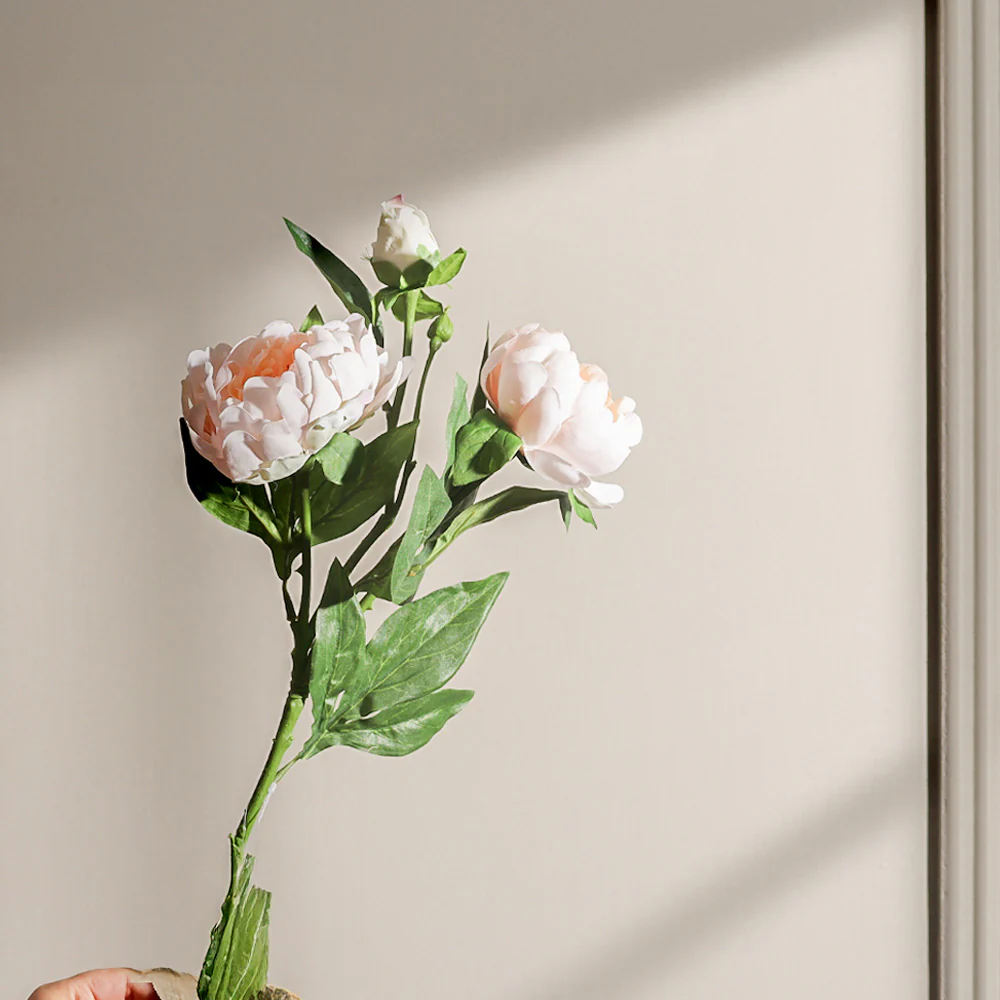 Itoh Peony Faux Stem - Peach Ivory - Image 4