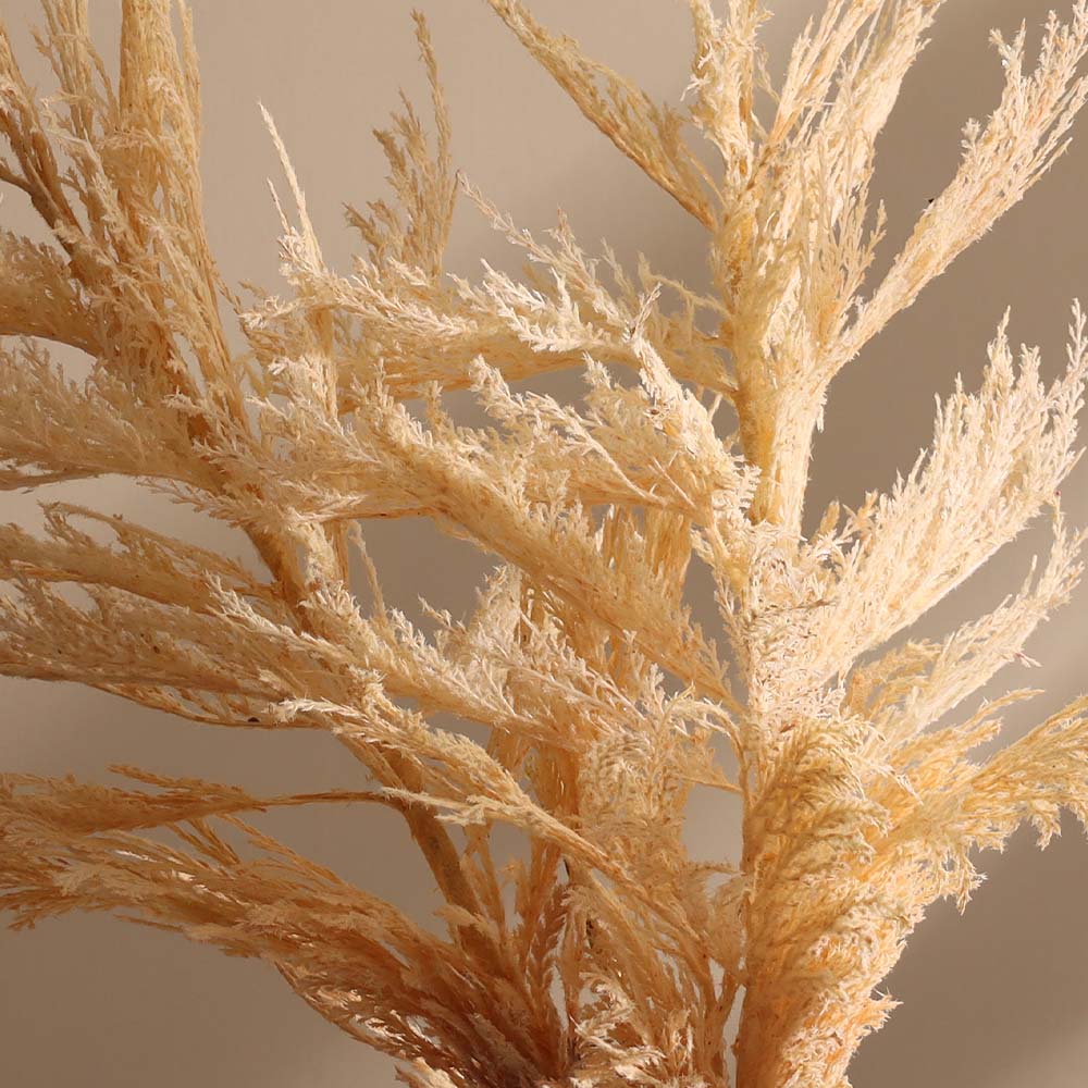 Latin Pampas Faux Stem - Cream - Image 2