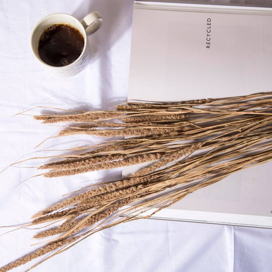 Millet Dried Bunch - Light Brown - Image 3