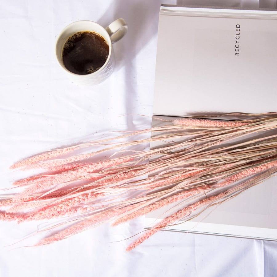 Millet Dried Bunch - Light Pink - Image 4