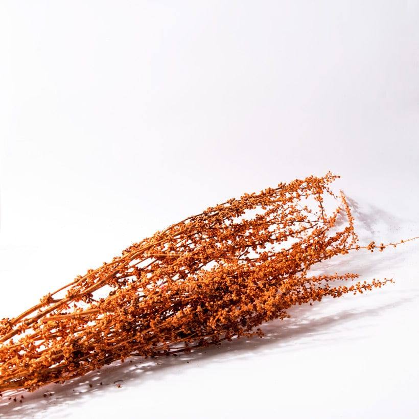 Palam Dried Bunch - Orange - Image 4