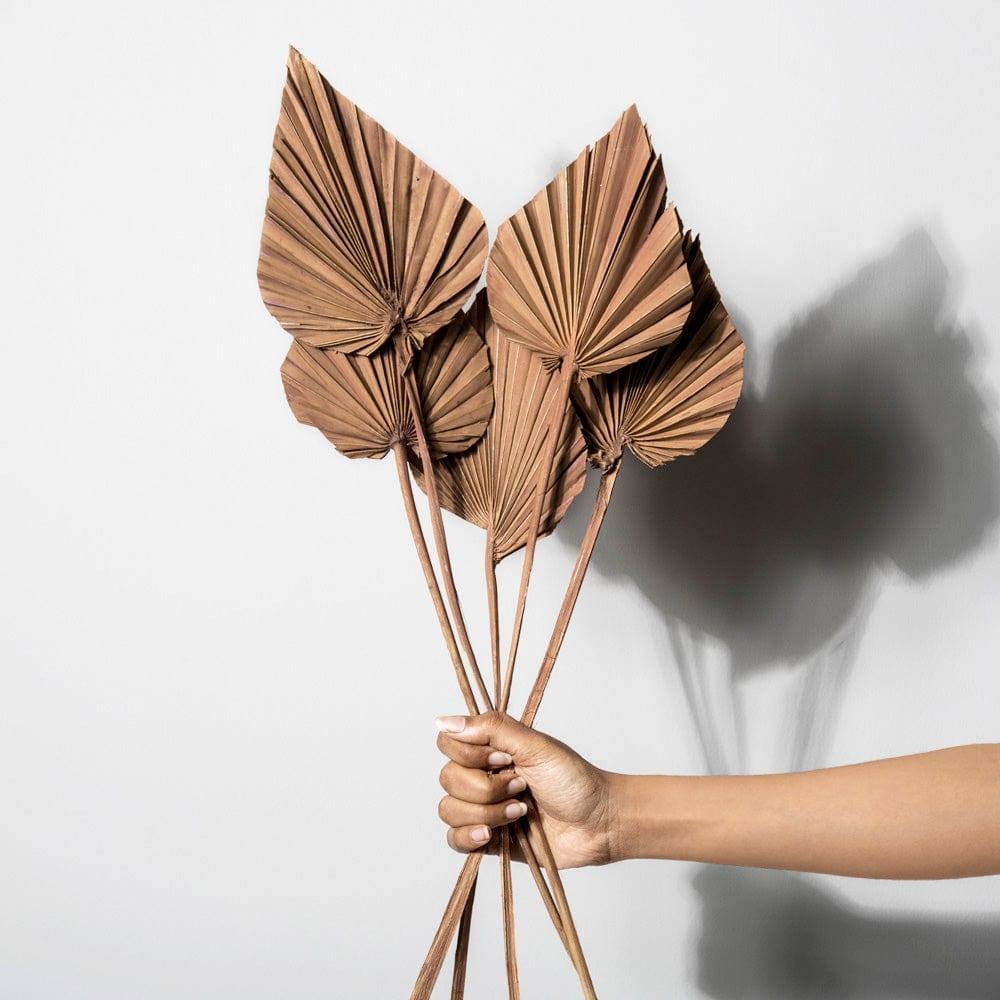 Palm Spear Bunch - Brown