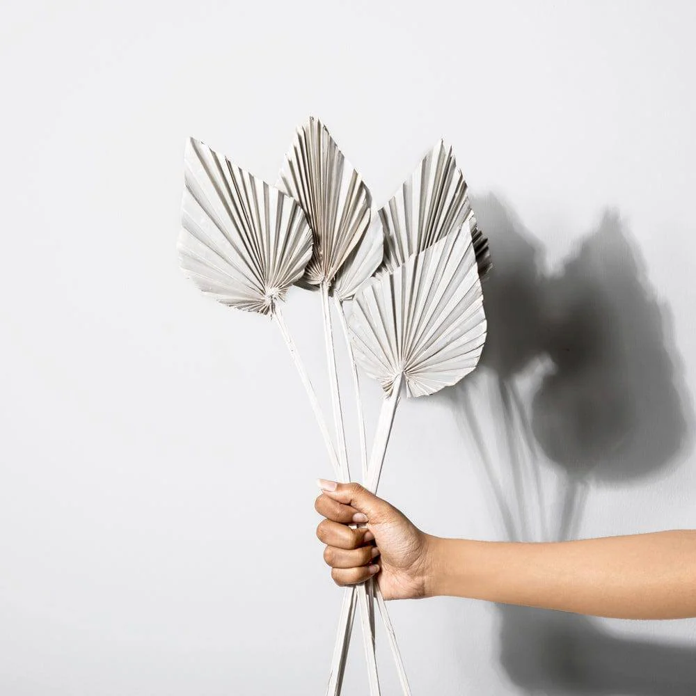 Palm Spear Bunch - White - Image 3