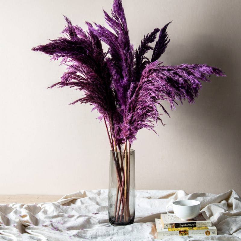 Pampas Dried Bunch - Amethyst