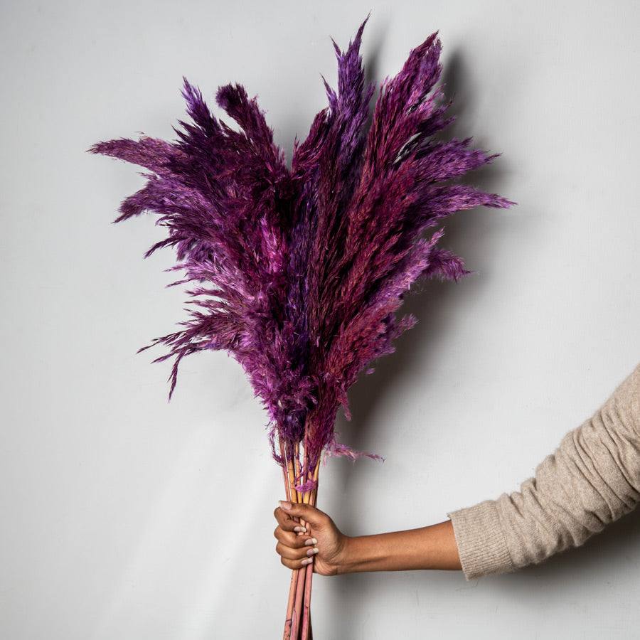 Pampas Dried Bunch - Amethyst - Image 2
