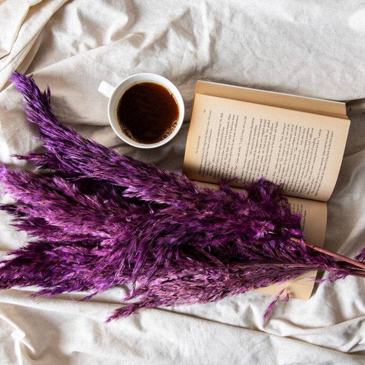 Pampas Dried Bunch - Amethyst - Image 4