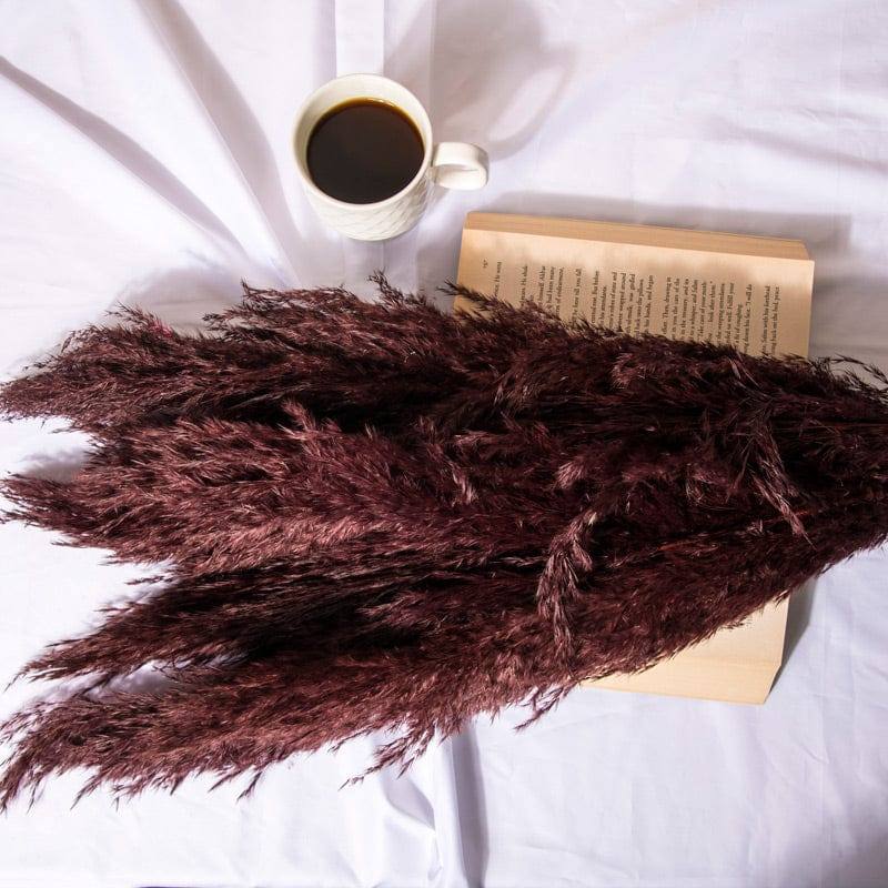Pampas Dried Bunch - Dark Burgundy - Image 3