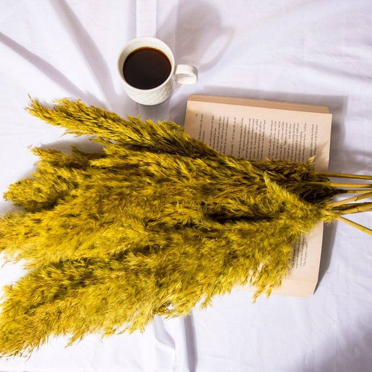Pampas Dried Bunch - Yellow - Image 4