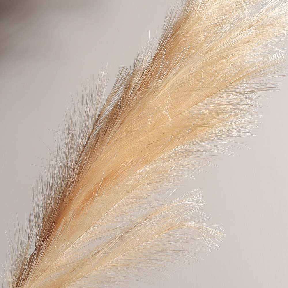 Pampas Reed Faux Stem - Peach - Image 5