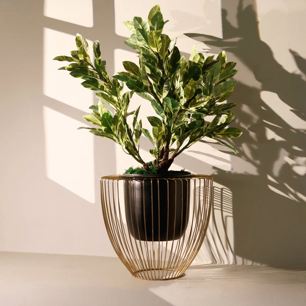 Petro Black Planter with Gold Metal Stand