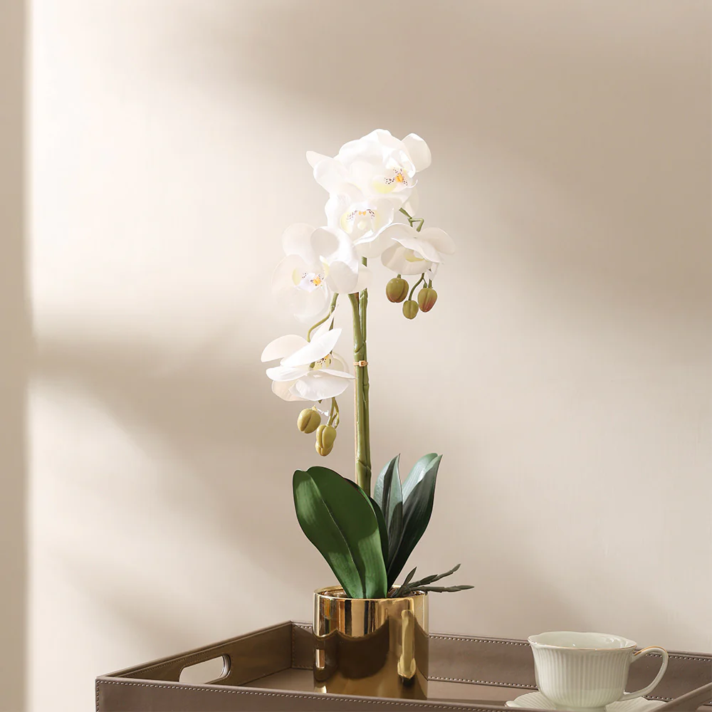 Phalaenopsis Orchid Artificial Potted Plant Medium - White - Image 2