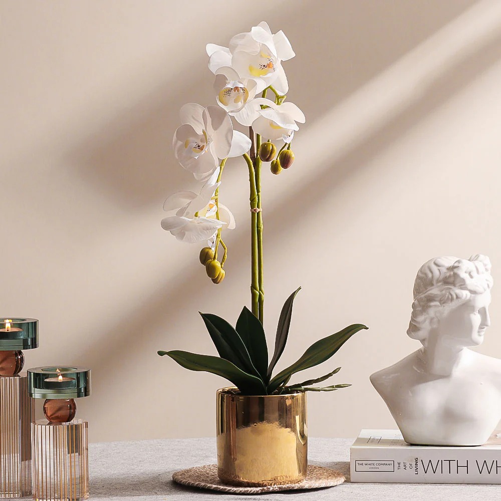 Phalaenopsis Orchid Artificial Potted Plant Medium - White - Image 3