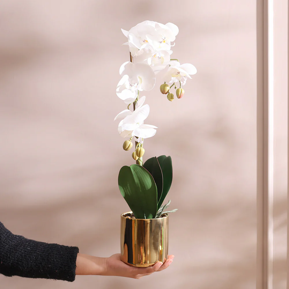 Phalaenopsis Orchid Artificial Potted Plant Medium - White - Image 4