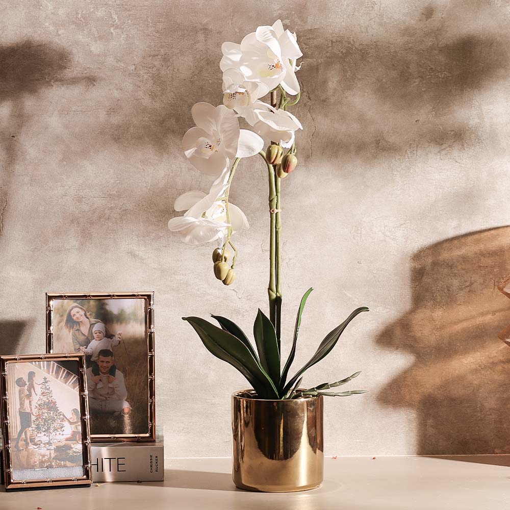 Phalaenopsis Orchid Artificial Potted Plant Medium - White - Image 5