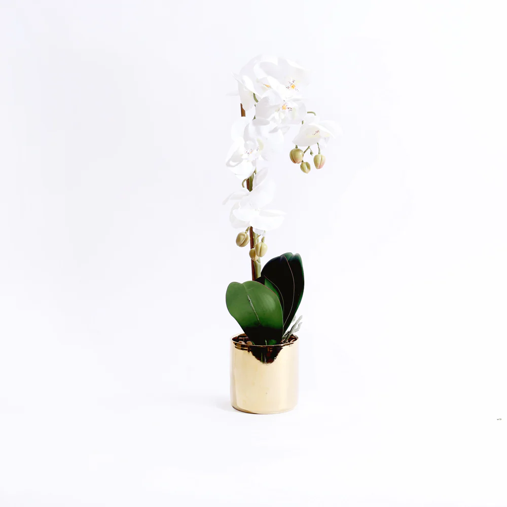 Phalaenopsis Orchid Artificial Potted Plant Medium - White - Image 6