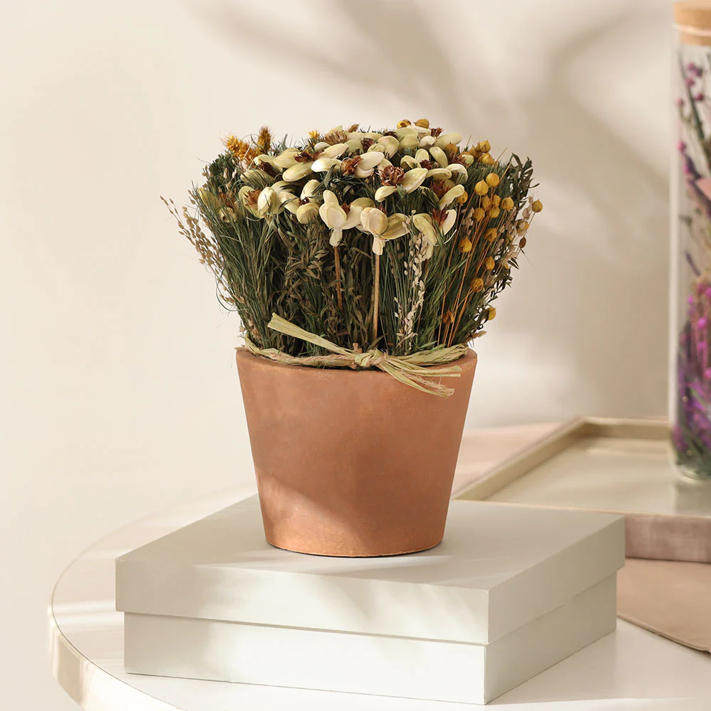 Sola Potted Bouquet - Yellow Green
