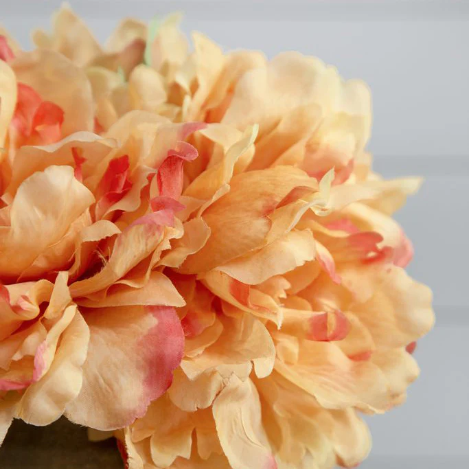Solange Peony Faux Stem - Pale Orange - Image 11