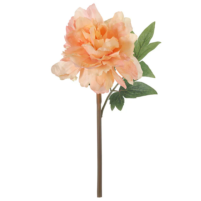 Solange Peony Faux Stem - Pale Orange - Image 4