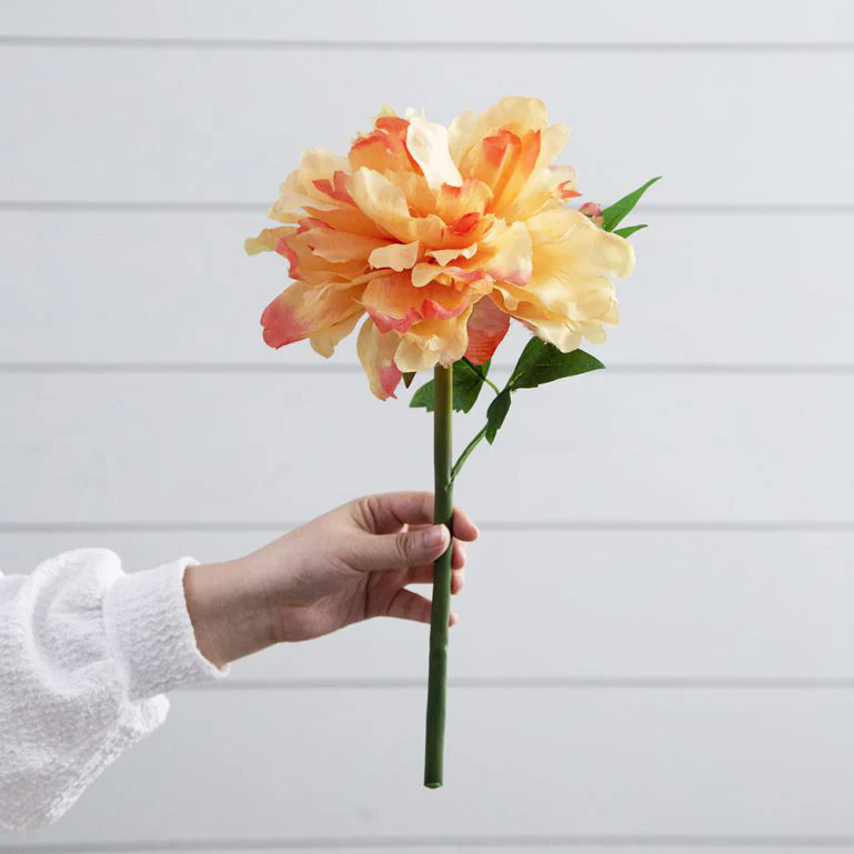 Solange Peony Faux Stem - Pale Orange - Image 5