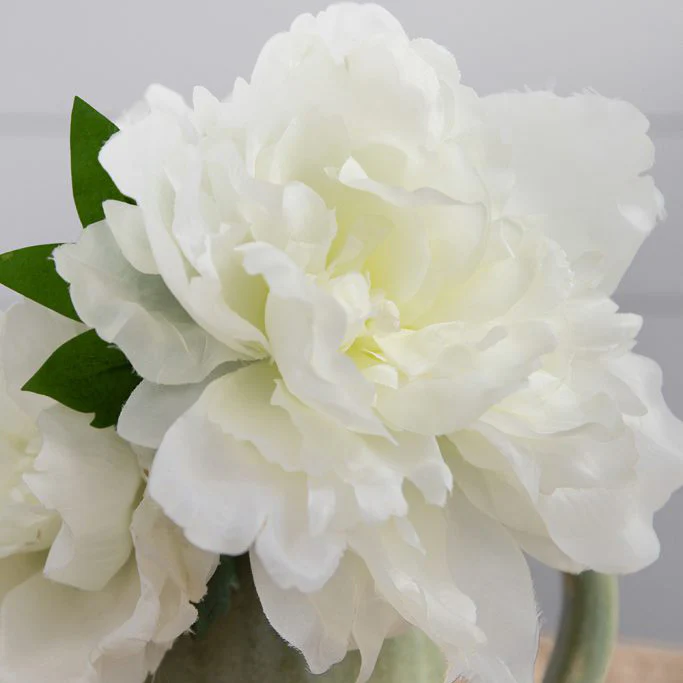 Solange Peony Faux Stem - White - Image 9