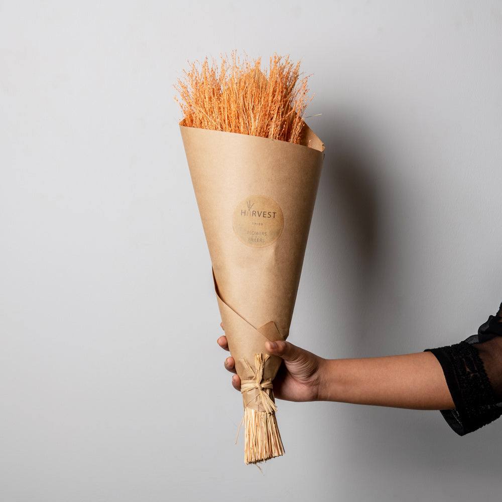Star Grass Dried Bunch - Orange - Image 3