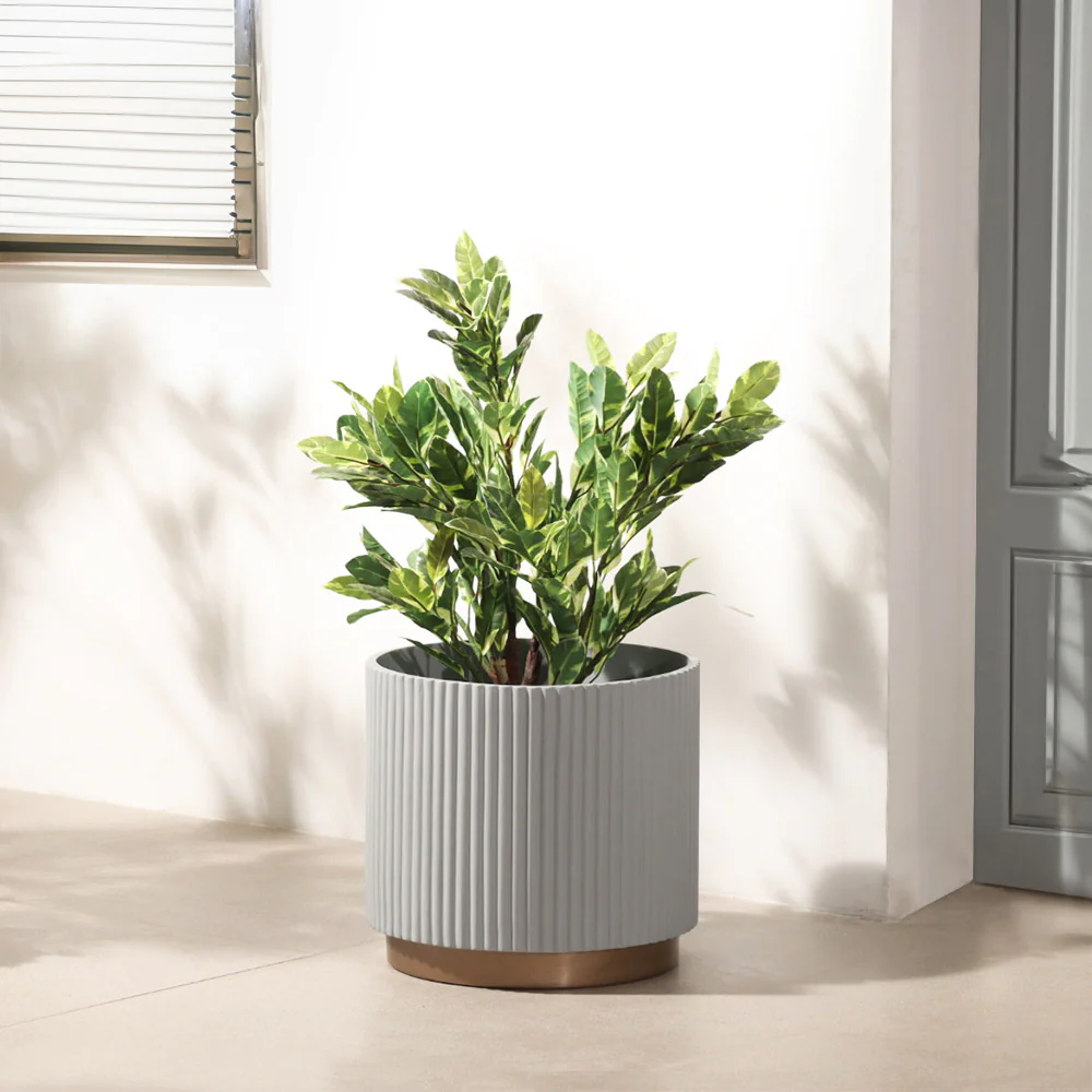 Starlight Ficus Artificial Potted Plant - Medium - Image 4