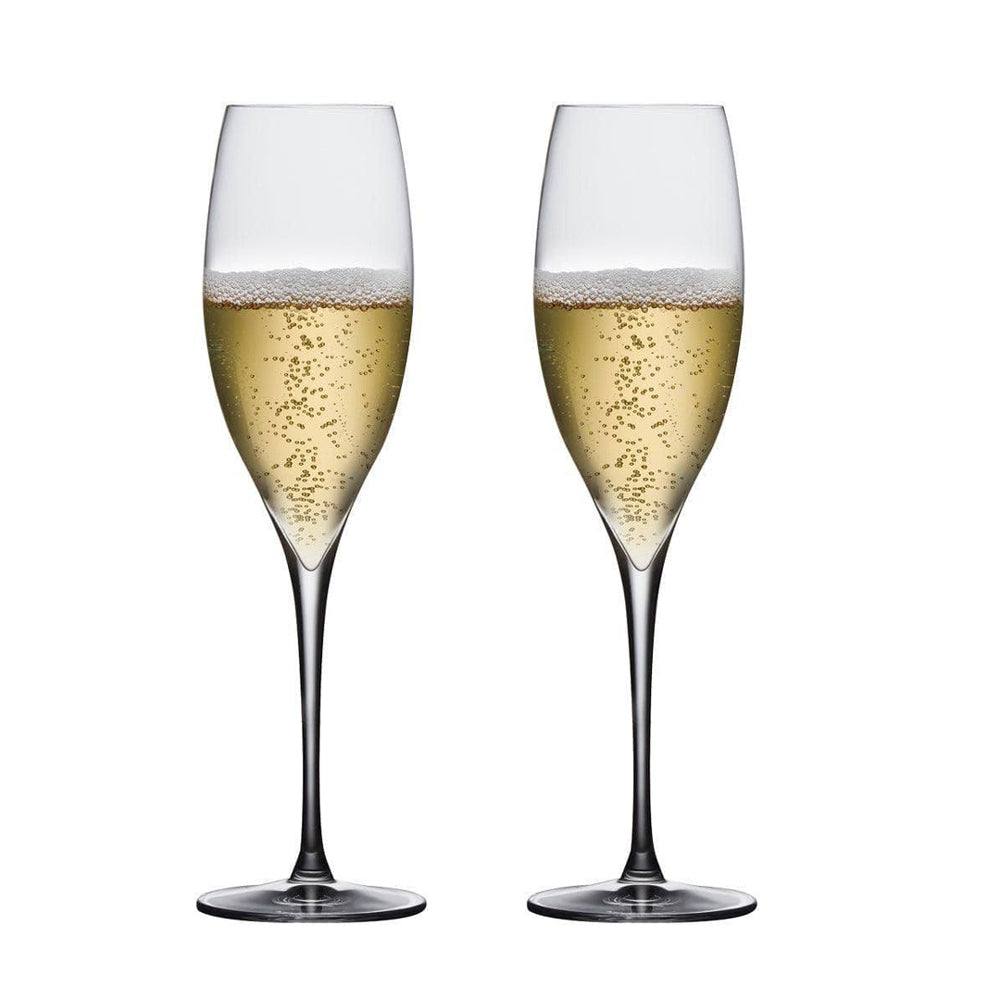Terroir Champagne Glasses 225ml, Set of 2 - Image 4