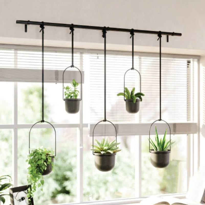 Triflora Hanging Planters, Set of 5 - Black