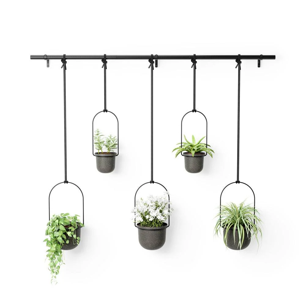 Triflora Hanging Planters, Set of 5 - Black - Image 5