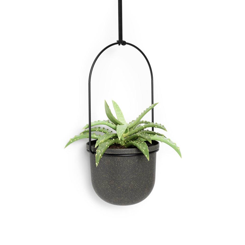 Triflora Hanging Planters, Set of 5 - Black - Image 6