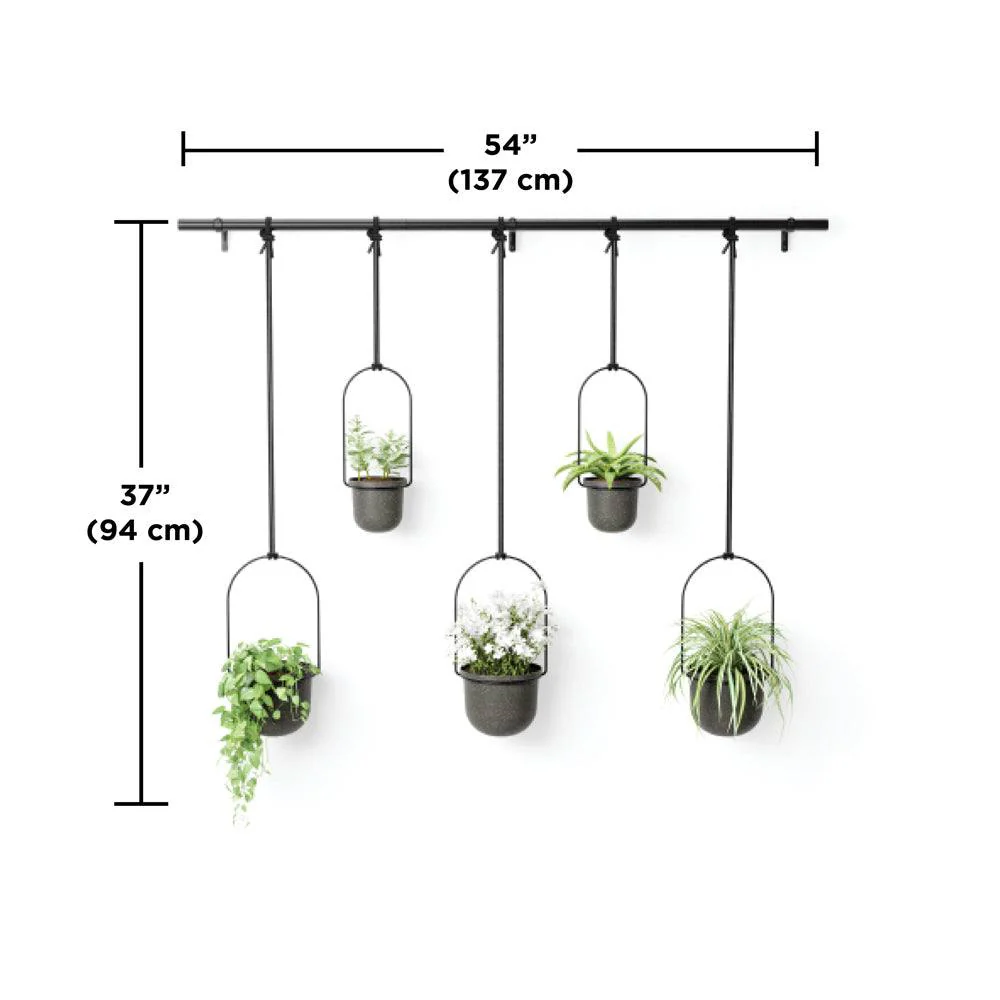 Triflora Hanging Planters, Set of 5 - Black - Image 8